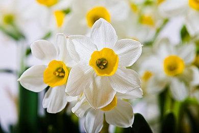 《MISERY》Steam上线 潜行者风格末世生存冒险